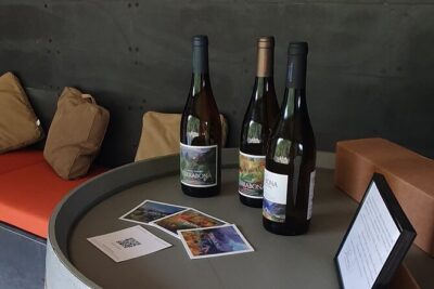 Wine Tasting Experience in Boaventura, Madeira North Coast - How the 4:00 pm session runs in about 90 minutes