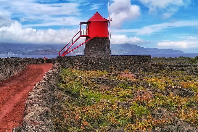 Wine Tour - From Madalena Ferry Terminal to Vineyard Walking: How the Day Moves