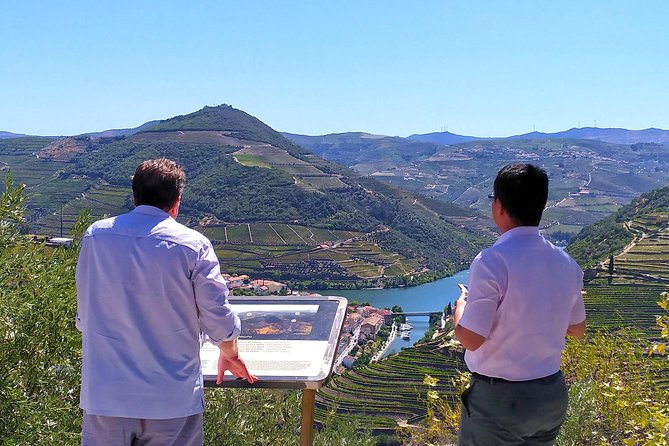 Wine Venture and Boat Trip in Douro Valley from Porto - Peso da Régua lunch: three courses paired with Douro wines