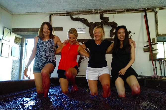 Wine Venture and Boat Trip in Douro Valley from Porto - Season, timing, and what to pack for the boat
