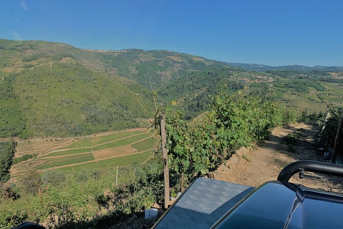 Winery Tour and Wine Tasting Quinta da Portela de Baixo in Lamego - Quinta da Portela de Baixo in Lamego: Wine Country with Museum Stops