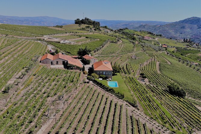 Winery Tour and Wine Tasting Quinta da Portela de Baixo in Lamego - The Host Matters: Small Group Feel and English Touring