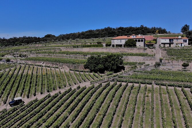 Winery Tour and Wine Tasting Quinta da Portela de Baixo in Lamego - Getting There and Where It Starts in Lamego
