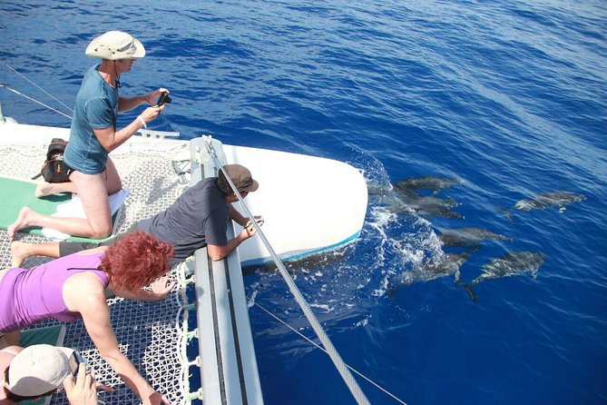 Wines Tasting Experience and Skywalk with Dolphin Watching - A day that mixes Madeira wine, Cabo Girão, and a sea-creature hunt