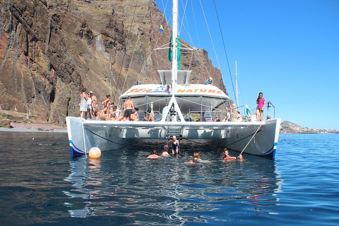 Wines Tasting Experience and Skywalk with Dolphin Watching - Wine tasting and Portuguese traditions: how to get more out of the pours