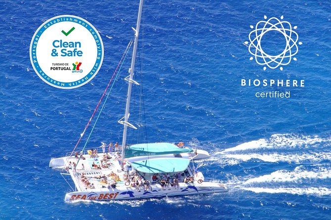 Wines Tasting Experience and Skywalk with Dolphin Watching - Small-group Jeep energy and onboard Wi‑Fi: why this format feels easier