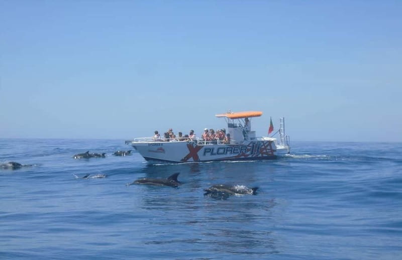 X Plorer – Caves (Benagil) & Dolphins Cruise - Benagil Sea Cave and the other caves: what you’re really paying for